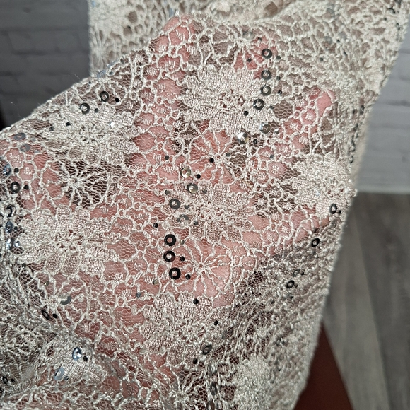 NWT $90 J. Taylor Lace Sequin Cocktail Dress, Size 12, Taupe/beige - Picture 8 of 11